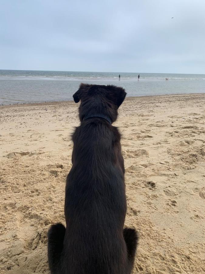 Norfolk Caravan Staycation Pet Friendly Belton with Browston Екстер'єр фото