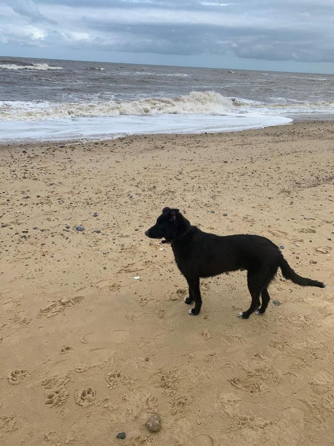 Norfolk Caravan Staycation Pet Friendly Belton with Browston Екстер'єр фото